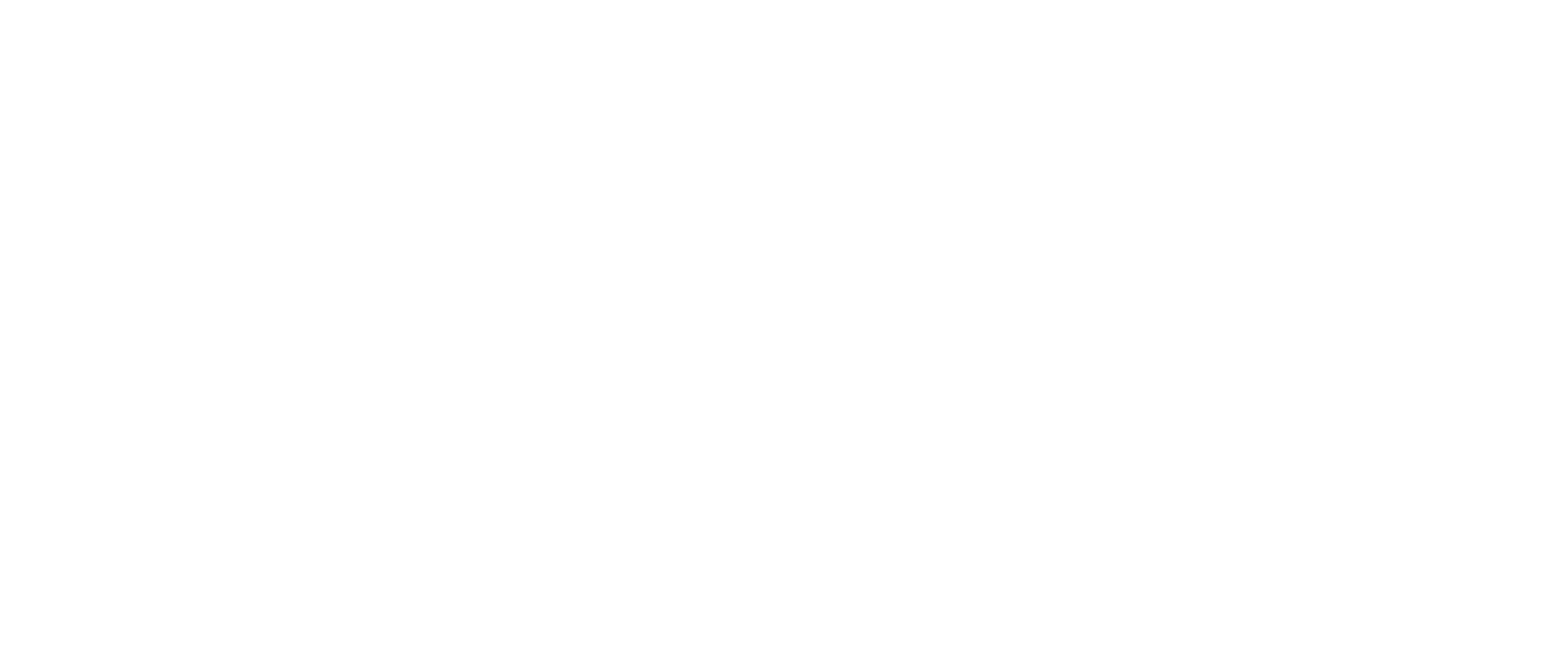 Janux Store